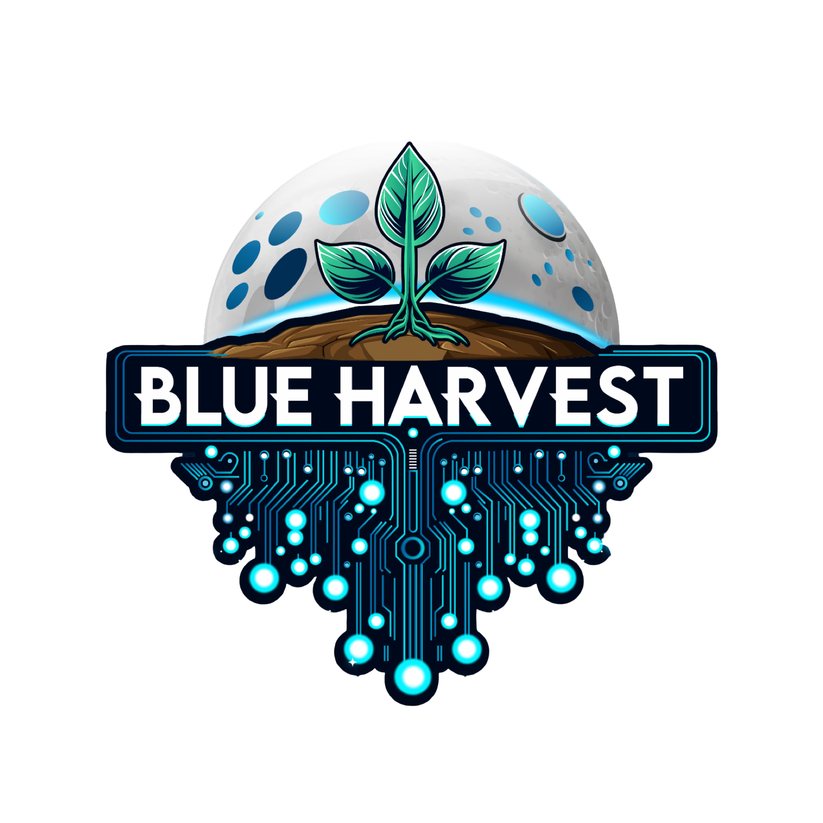 Blue Harvest storefront photo