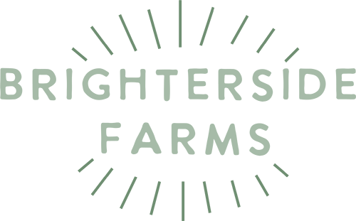 Brighterside Canopy logo