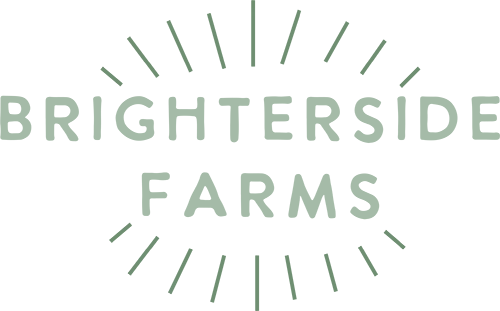 Brighterside Canopy logo