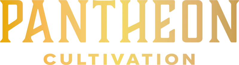 Pantheon logo