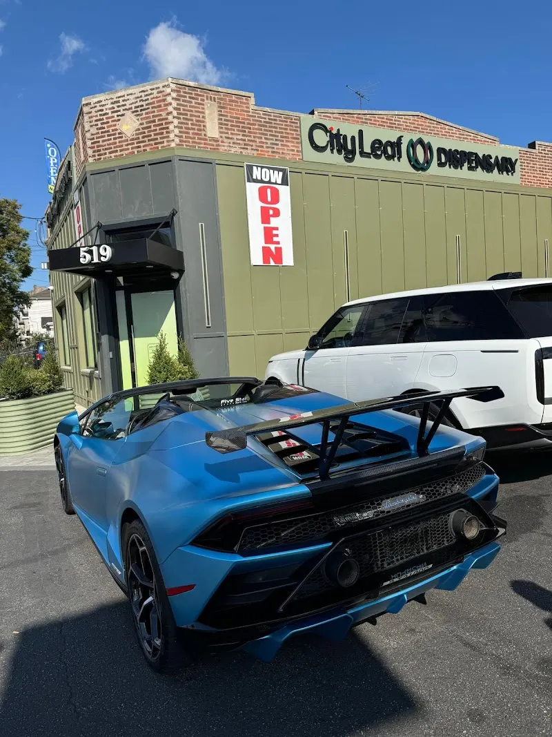 CityLeaf Dispensary & Delivery logo