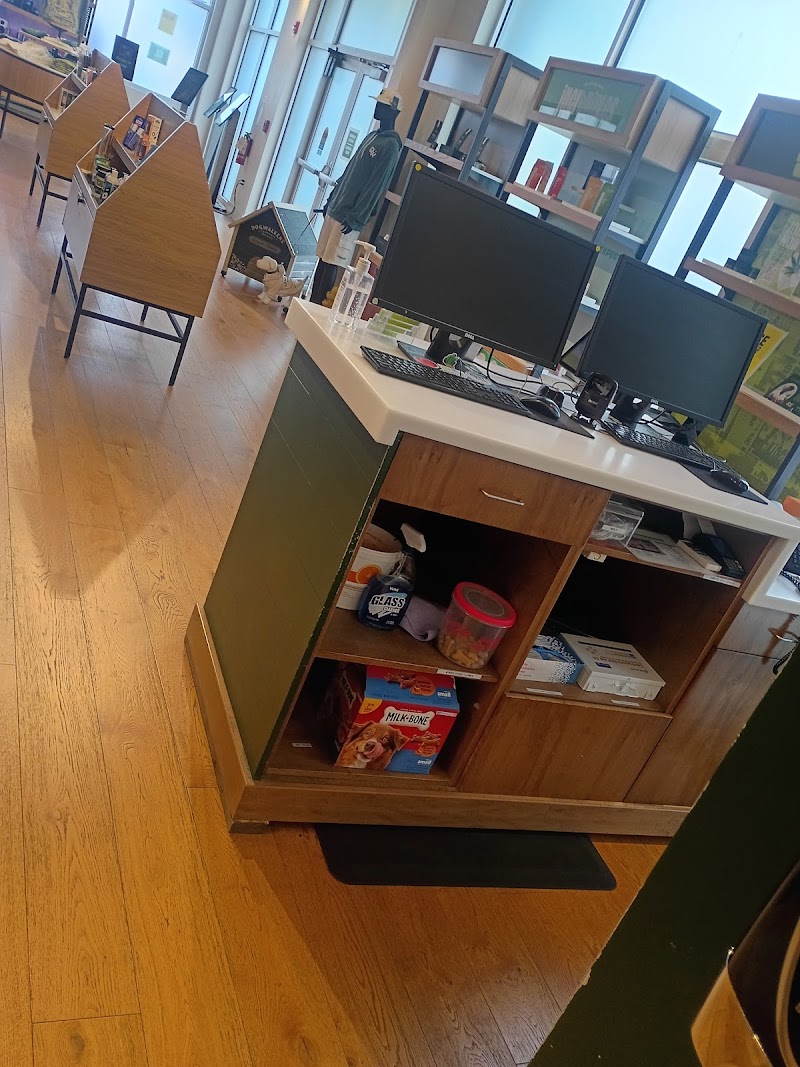 RISE Dispensary storefront photo