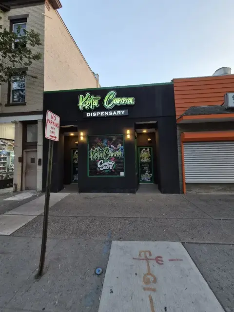 Photo of Kota canna