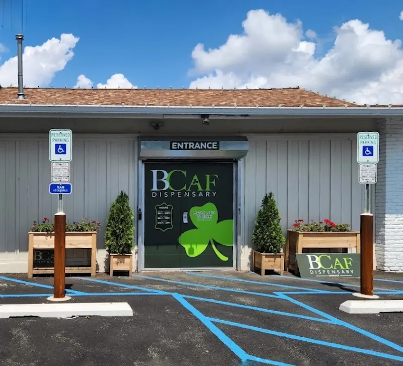 BCaf Dispensary logo