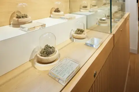 Photo of Do-Canna Dispensary Maplewood