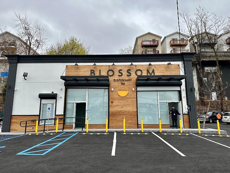 Blossom Dispensary storefront photo
