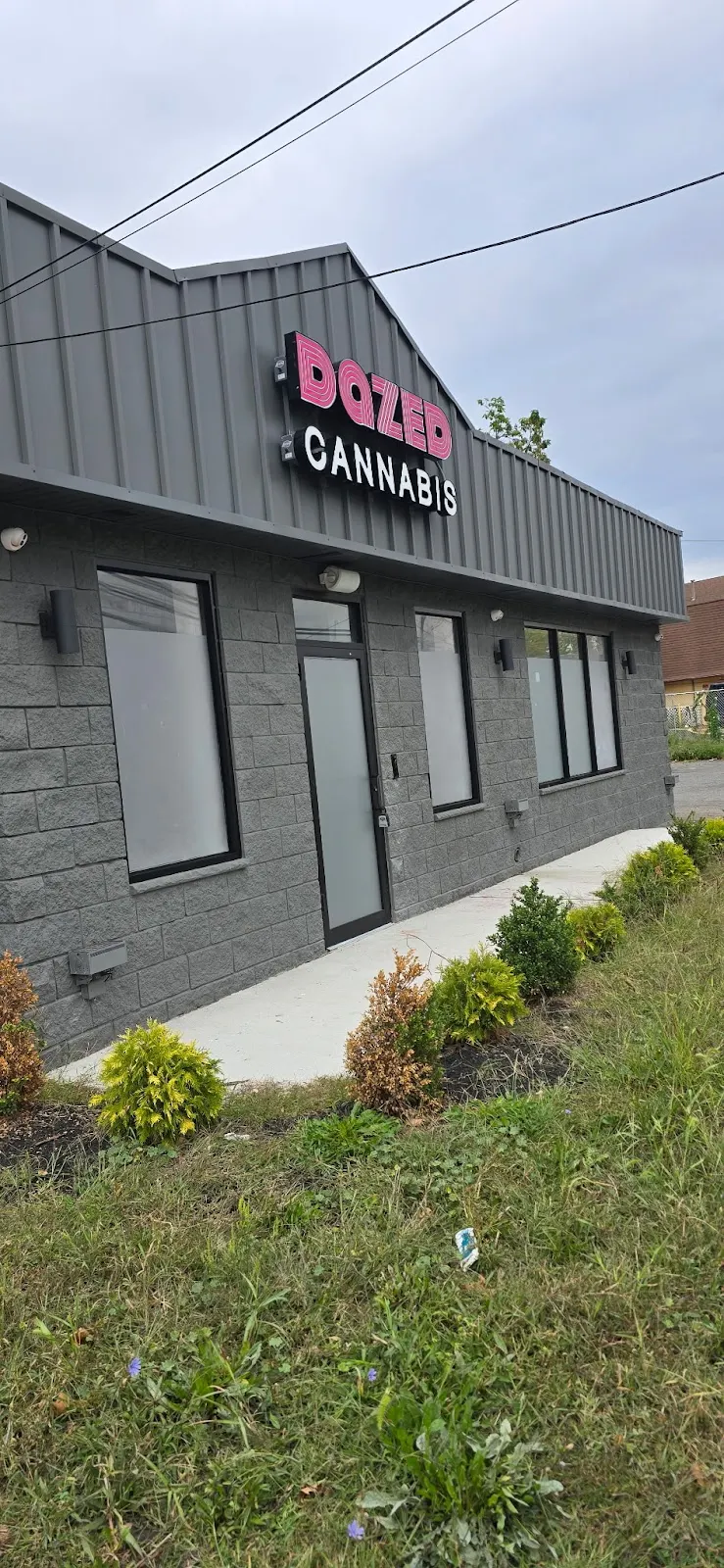 Dazed Cannabis - Somerset logo