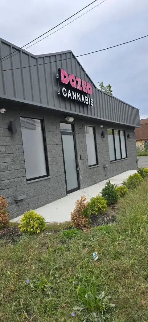 Photo of Dazed Cannabis - Somerset