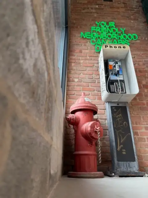 Photo of Greenlight Apothecary