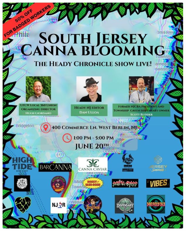 South Jersey Canna Blooming