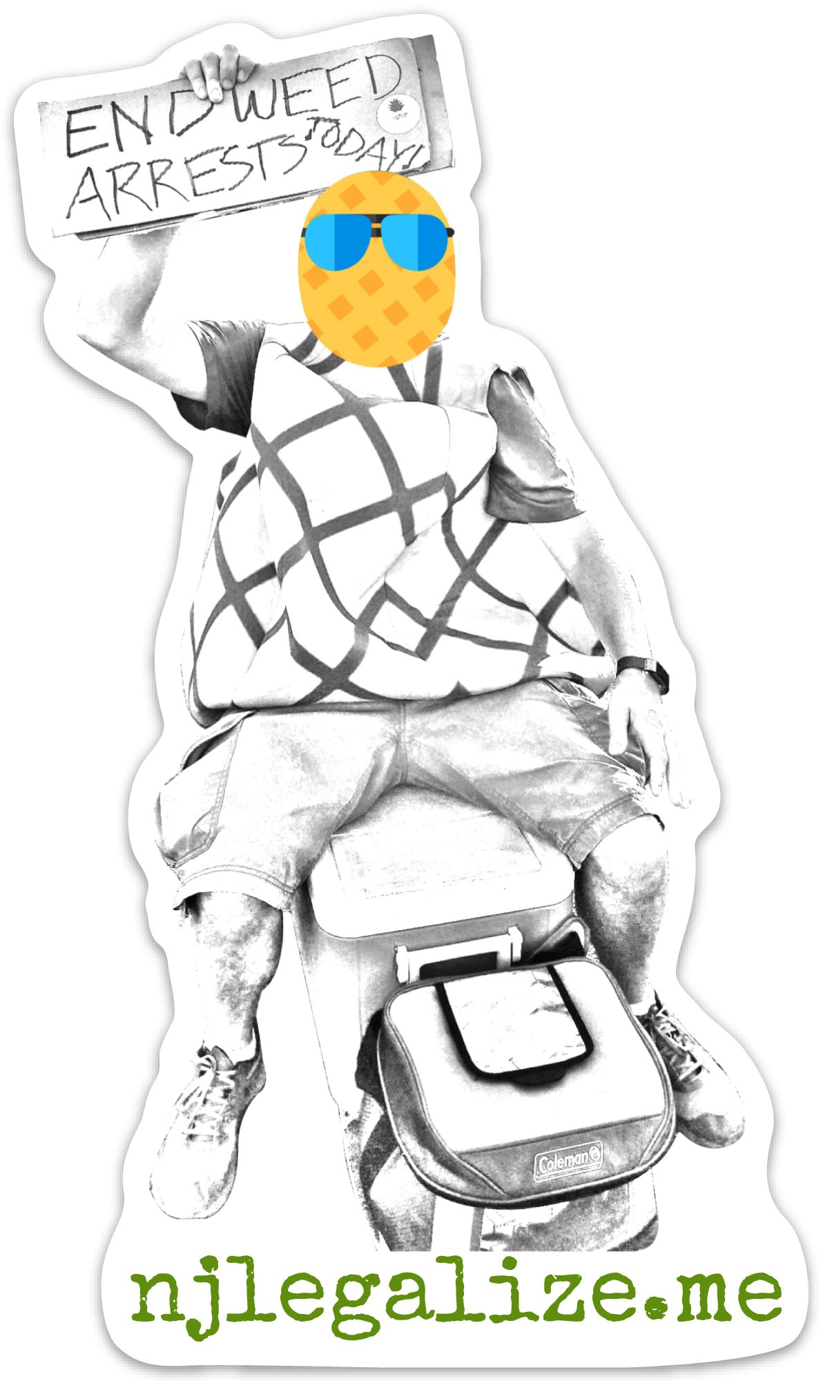 Pineapple Guy Large